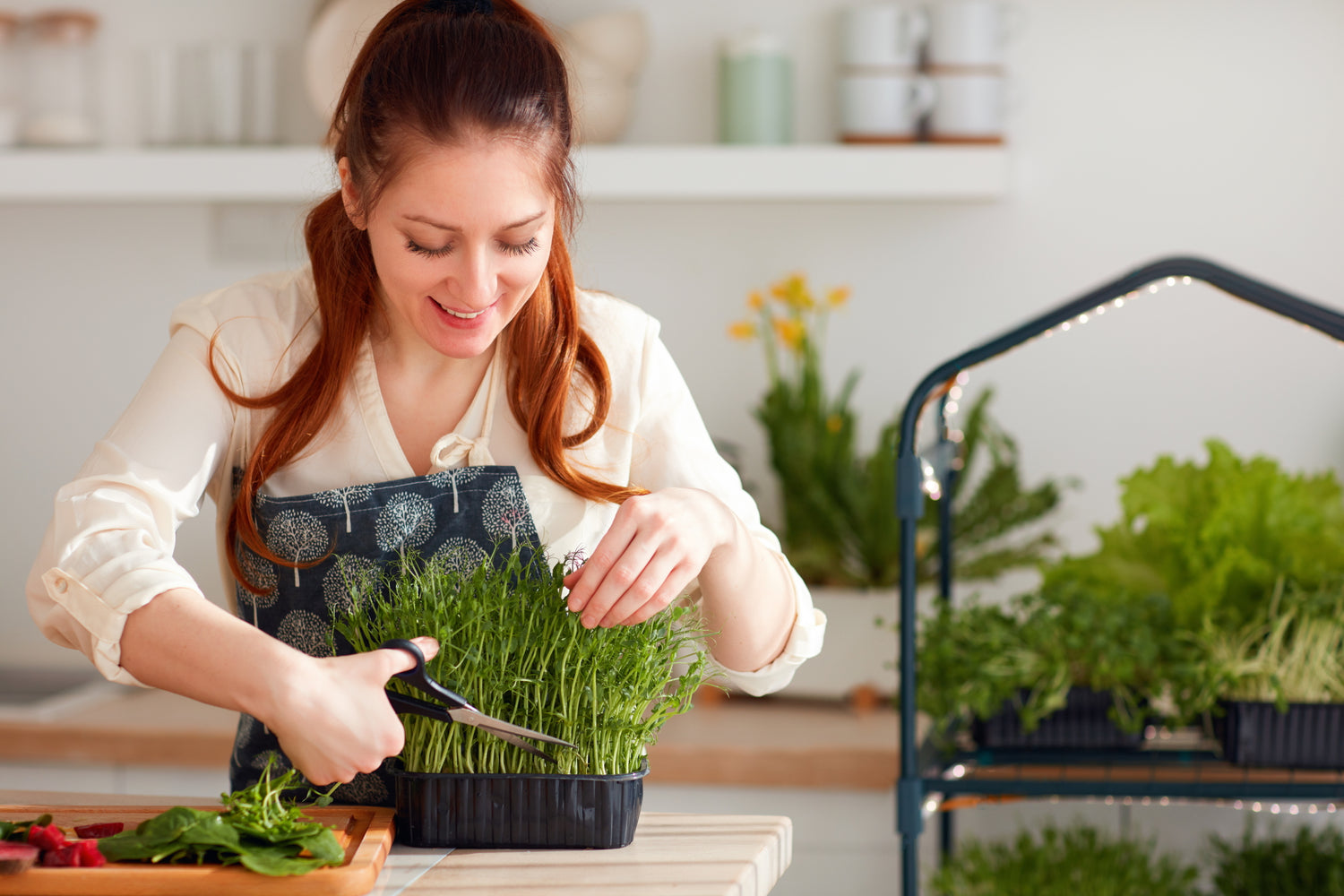 Cultured Vegetable Sprouted Crackers